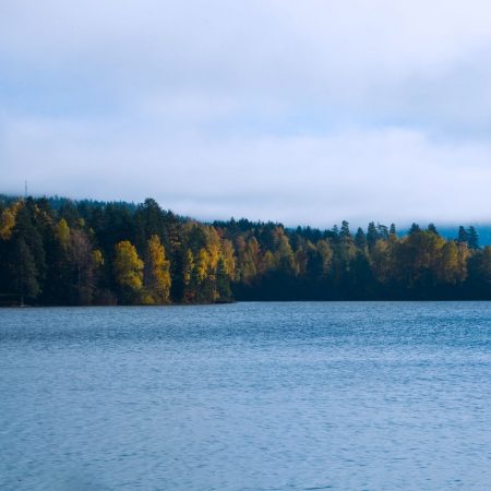 Farekartlegging av forurensningsrisiko i Eikeren